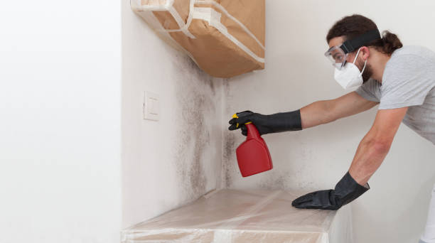 Professional Attic Mold Removal technician working in Newfoundland, NJ