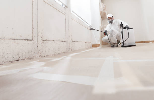 24/7 Emergency Attic Mold Removal experts in Newfoundland, NJ