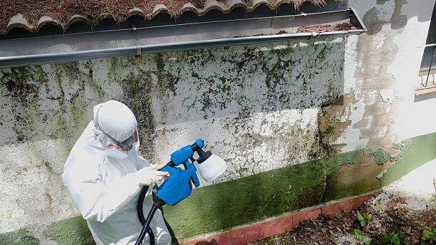 Top rated local Attic Mold Removal specialists in Newfoundland, NJ